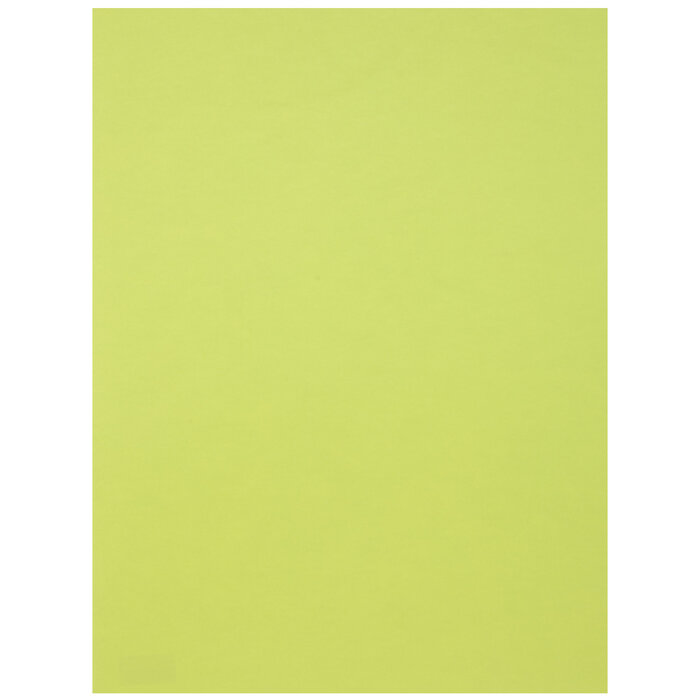 88 Lime Green Canson Colorline Paper Hobby Lobby 2267599