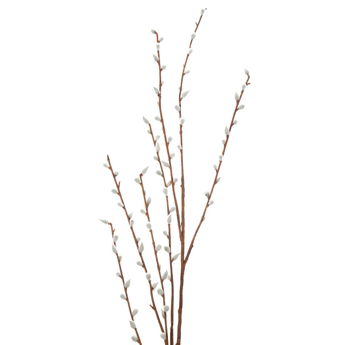 Gray Pussy Willow Branch Hobby Lobby 246983