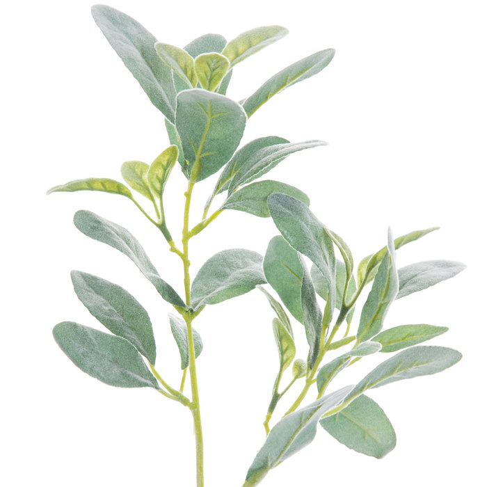 Green Lambs Ear Stem Hobby Lobby 1084359