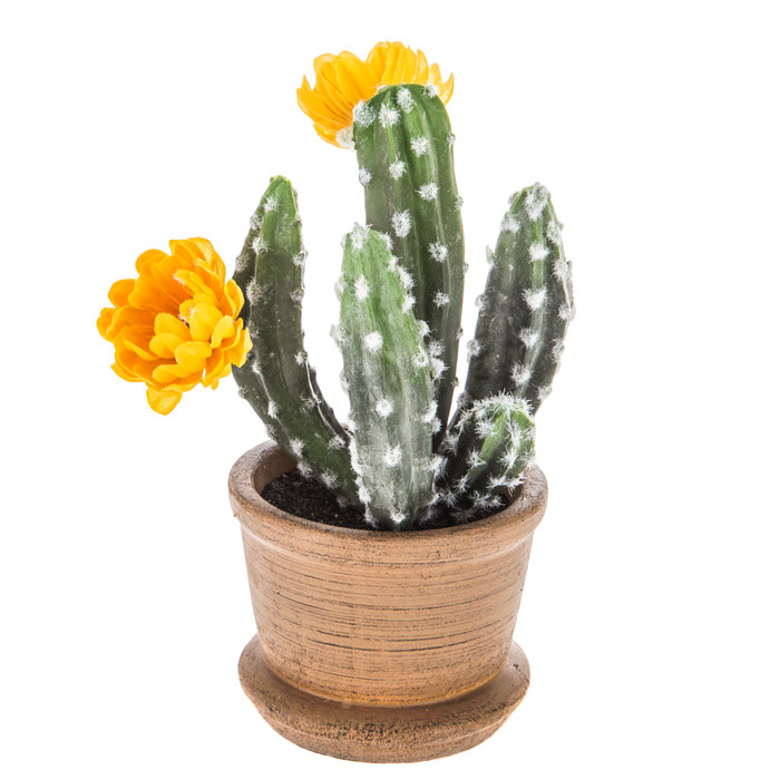 Yellow Flowering Cactus in Brown Pot Hobby Lobby 1566041