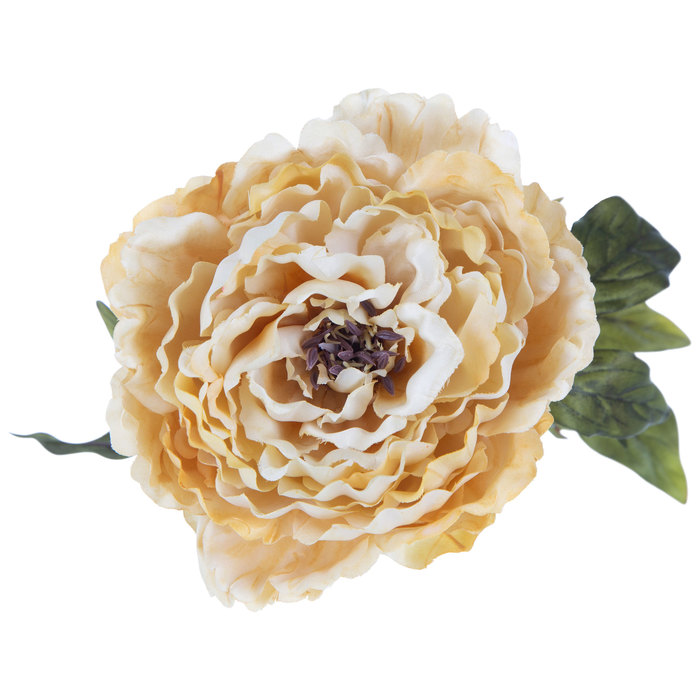 Cream Peony Stem Hobby Lobby 534438