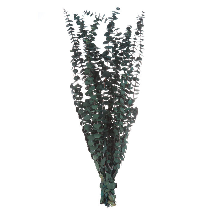 Green Premium Wash Eucalyptus Hobby Lobby 652545