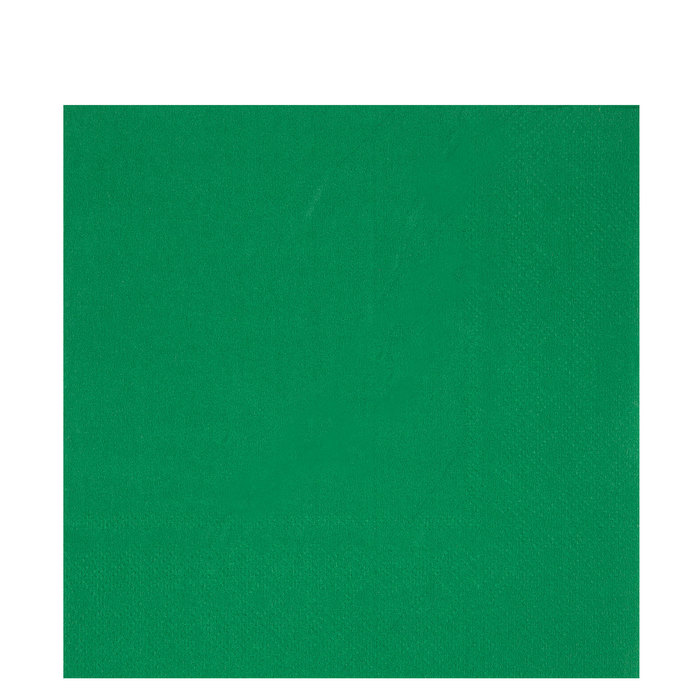 Holiday Green Napkins Large Hobby Lobby 721498