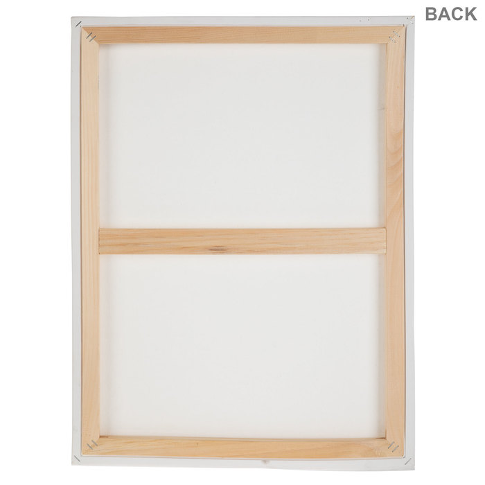 Master's Touch Watercolor Blank Canvas 18" x 24" Hobby Lobby 283119