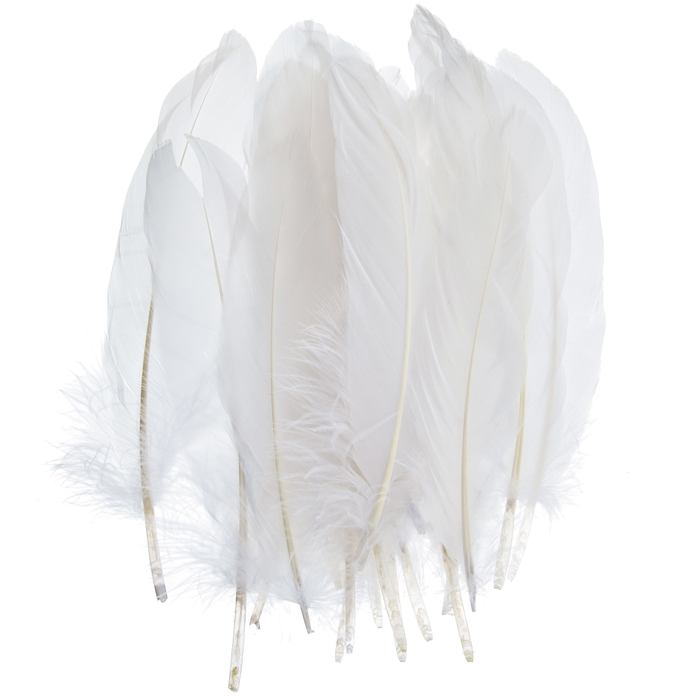White Turkey Feathers Hobby Lobby 881433