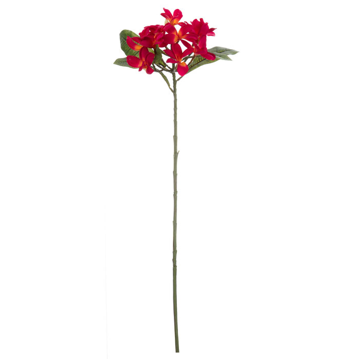 Dark Pink Plumeria Stem Hobby Lobby 1084383