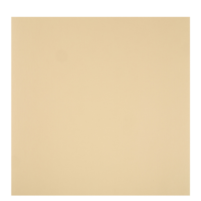 Tan Textured Cardstock Paper 12" x 12" Hobby Lobby 604397