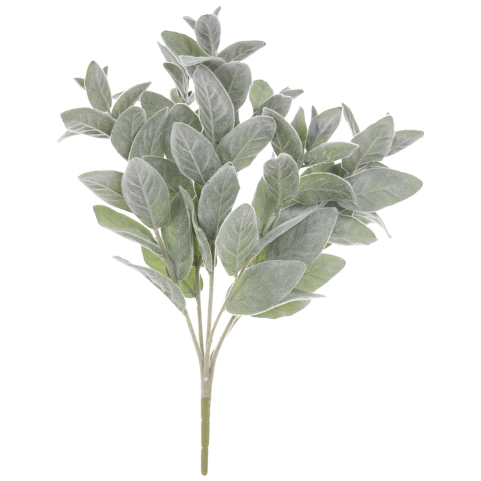 Lamb's Ear Bush Hobby Lobby 1888221