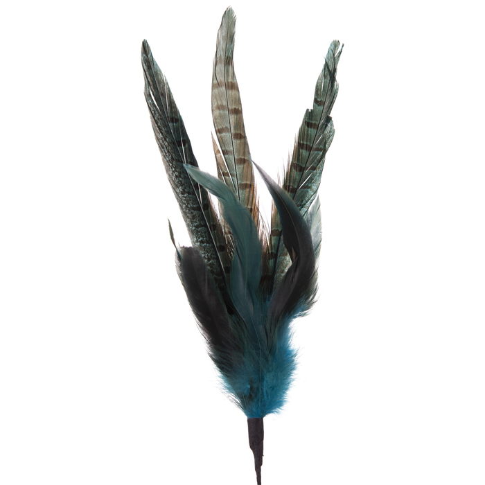 Hobby Lobby Feather Decor at Marilyn Hudson blog