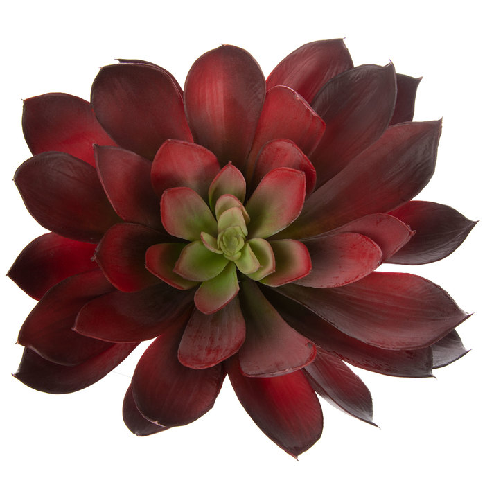 Red Agave Succulent Bush Hobby Lobby 1727734