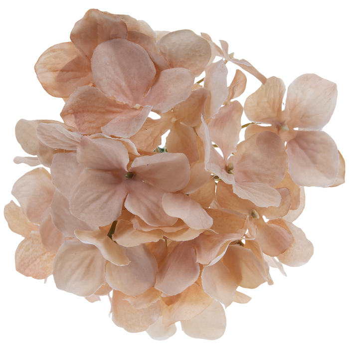 Hydrangea Pick Hobby Lobby