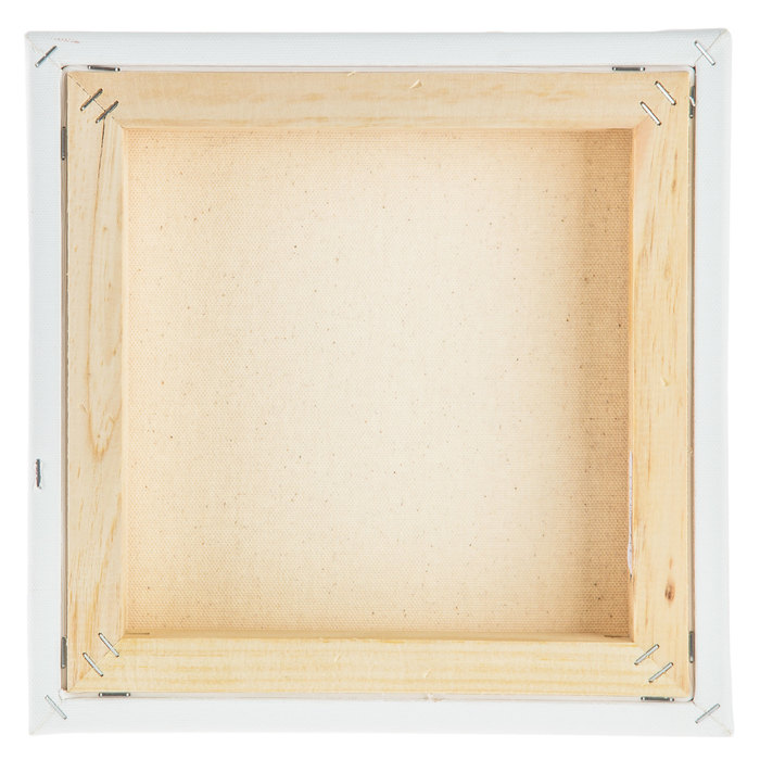 Master's Touch Grandeur Collection Blank Canvas 10" x 10" Hobby