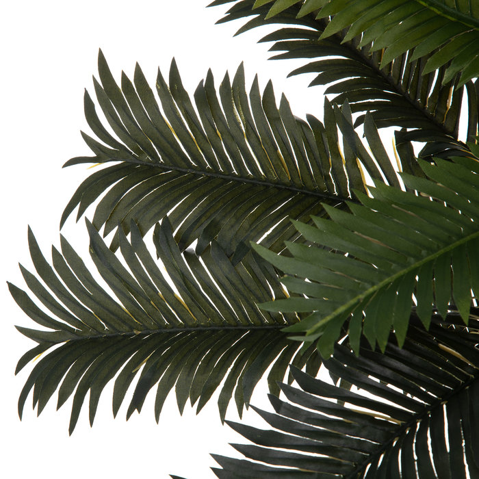 Cycas Palm Bush Hobby Lobby 918961