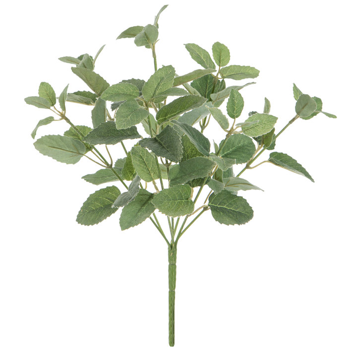 Mini Mint Bush Hobby Lobby 1392000