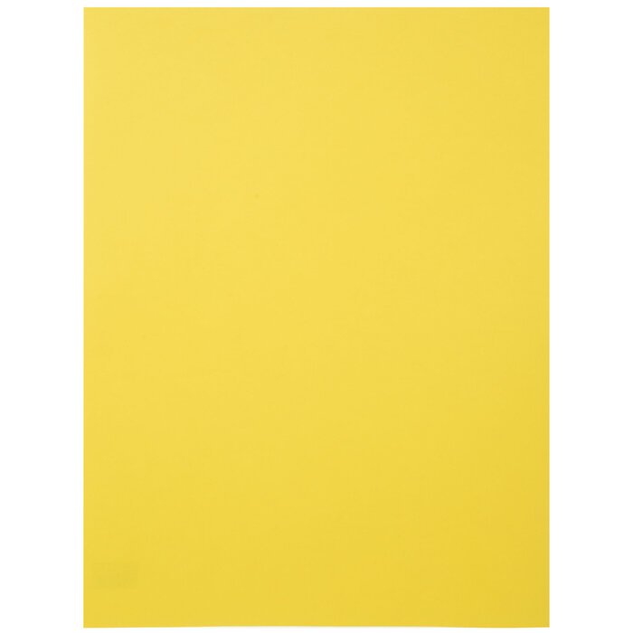 04 Canary Canson Colorline Paper Hobby Lobby 2267458