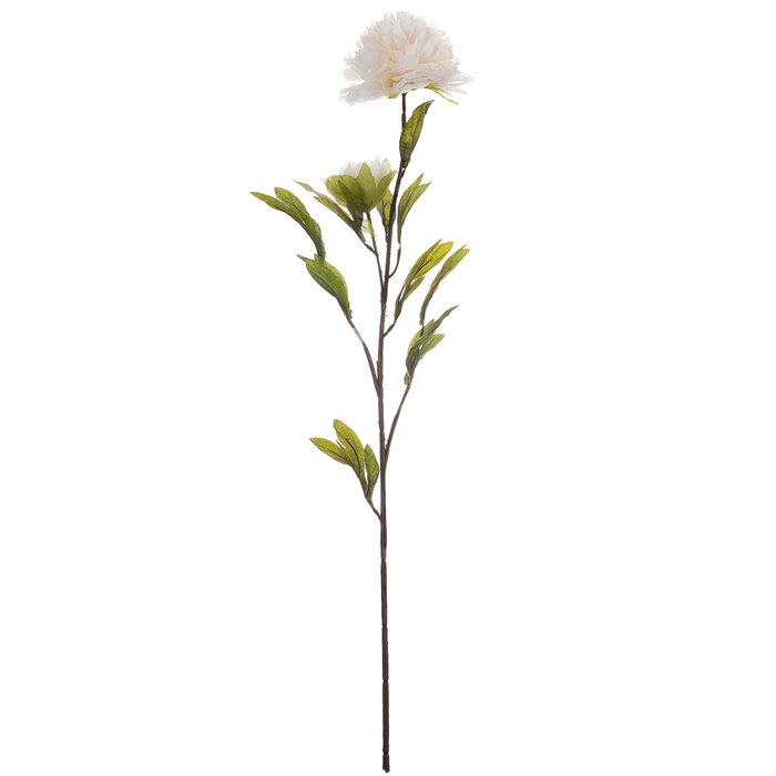 Ivory Peony Stem Hobby Lobby 341628