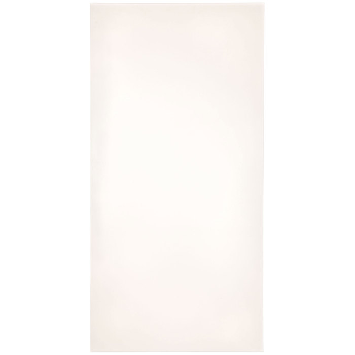 Master's Touch Grandeur Collection Blank Canvas 24" x 48" Hobby