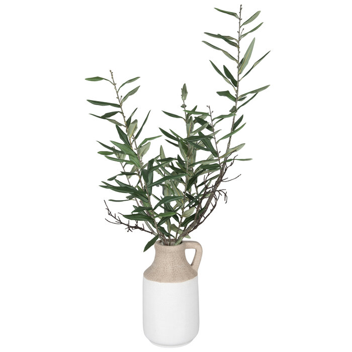 Olive Branches In Jug Hobby Lobby 2145738