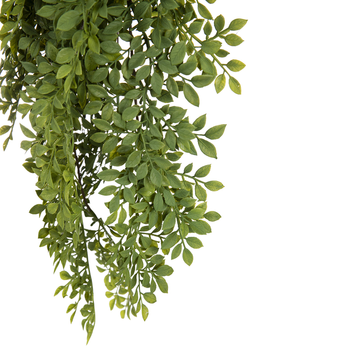 Trailing Lotus Bush Hobby Lobby 1891001