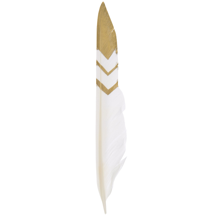 White & Gold Fancy Pointer Feathers 7" 8" Hobby Lobby 1536986