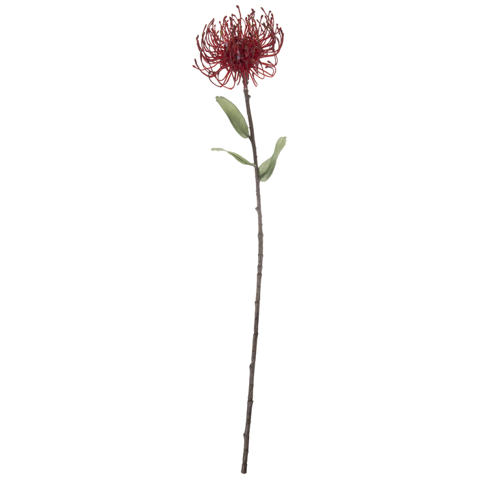 Red Protea Stem Hobby Lobby 1888270