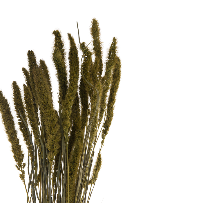 Moss Green Seteria Bundle Hobby Lobby 1927318