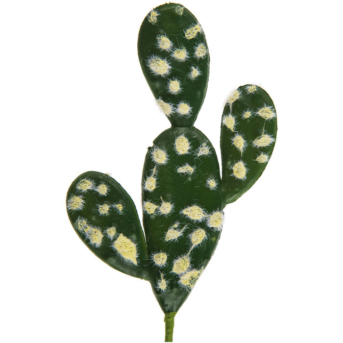 Prickly Pear Cactus Pick Hobby Lobby 1563766