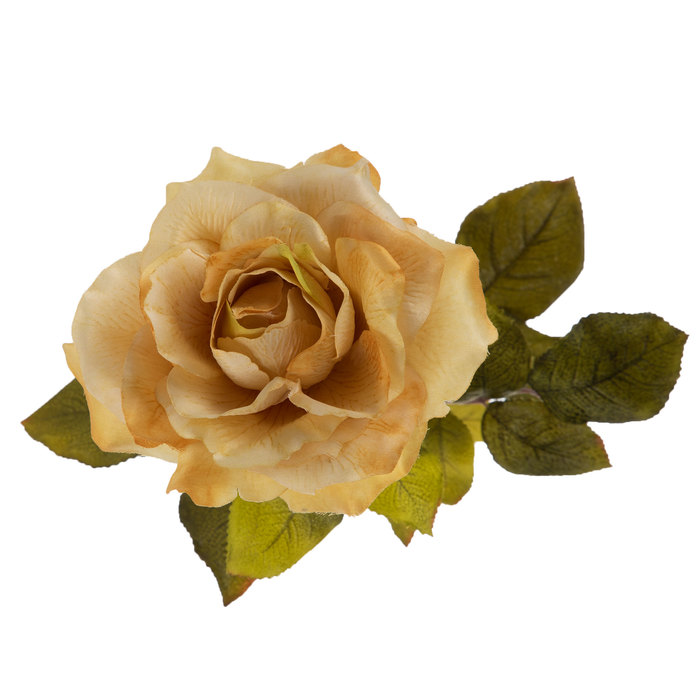 Cream Open Rose Stem Hobby Lobby 533661