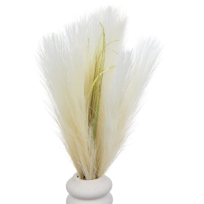 Pampas Grass In White Vase Hobby Lobby 2174084
