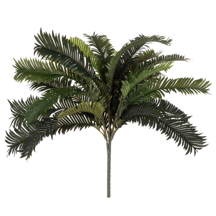 Cycas Palm Bush Hobby Lobby 918961