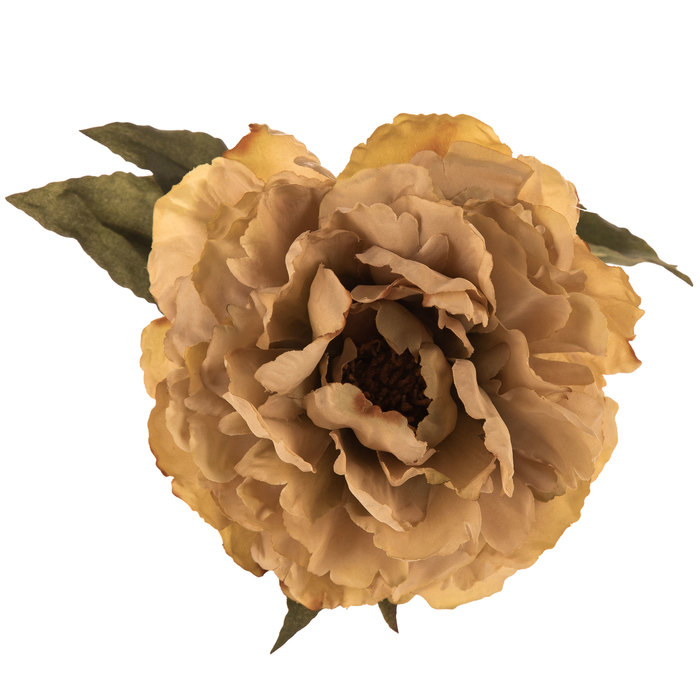 Peony Stem Hobby Lobby