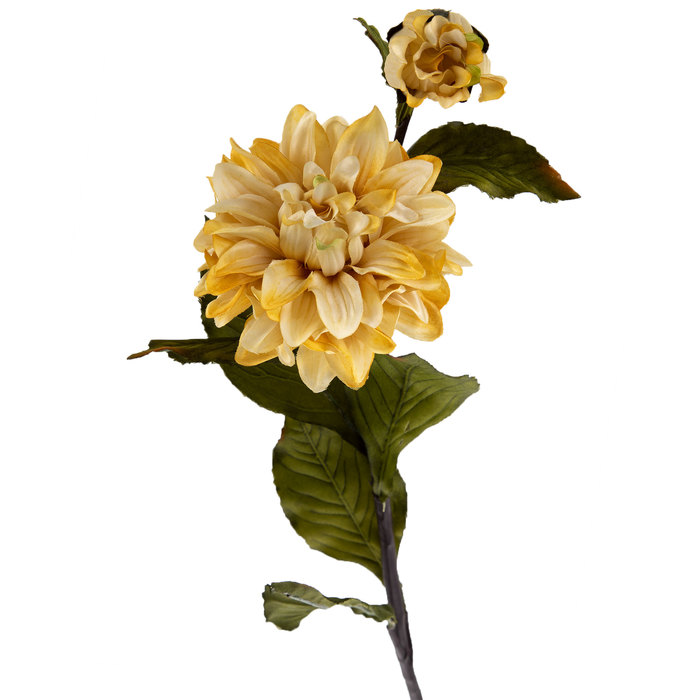 Cream Dahlia Stem Hobby Lobby 533133