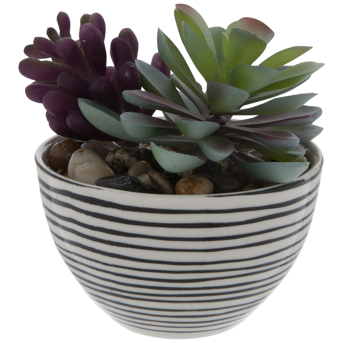 Succulent In Striped Pot Hobby Lobby 1888106