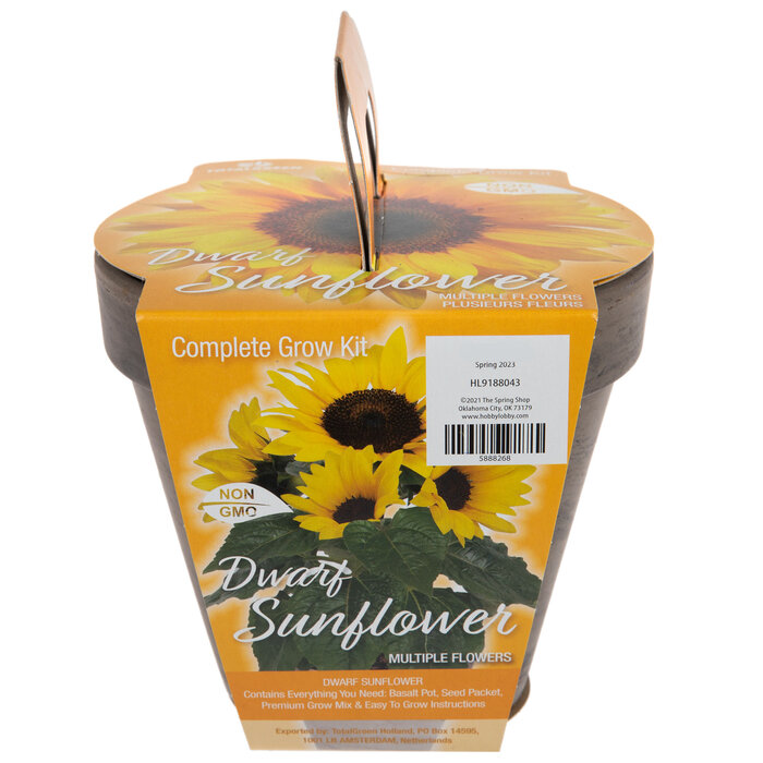 Dwarf Sunflower Grow Kit Hobby Lobby 5888268