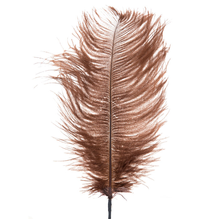 Brown Dyed Ostrich Feather Pick Hobby Lobby 312058