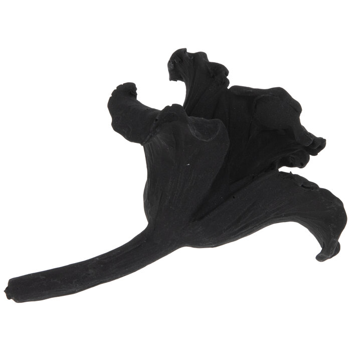 Black Flower Hobby Lobby 2178010