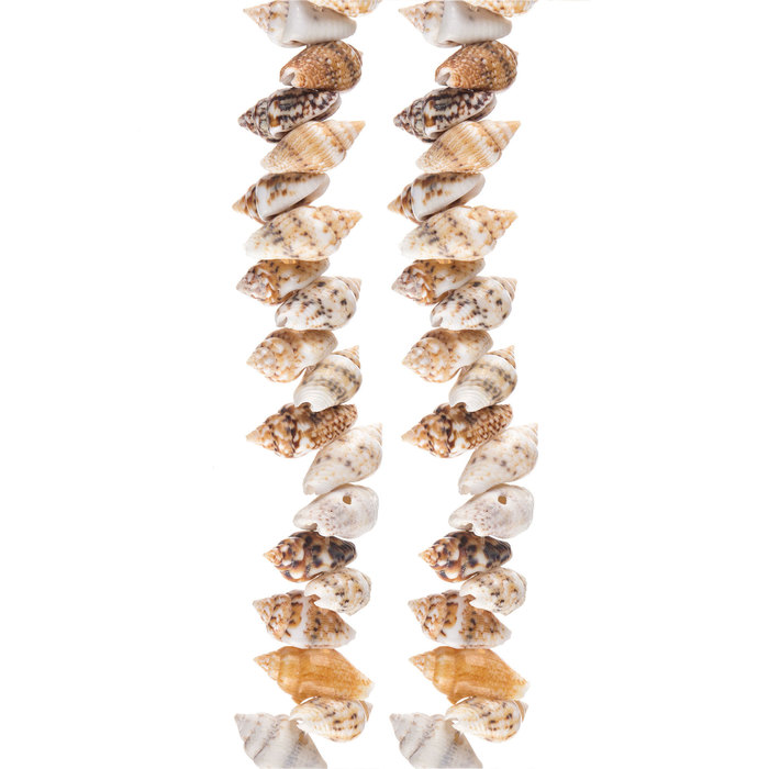 Natural Sea Shell Bead Strands Hobby Lobby 1412212