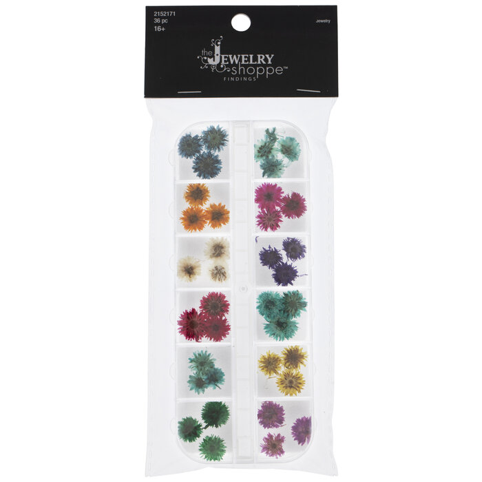 MultiColor Dried Flowers Hobby Lobby 2152171