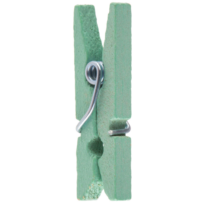 Mint Clothespins Small Hobby Lobby 1599430