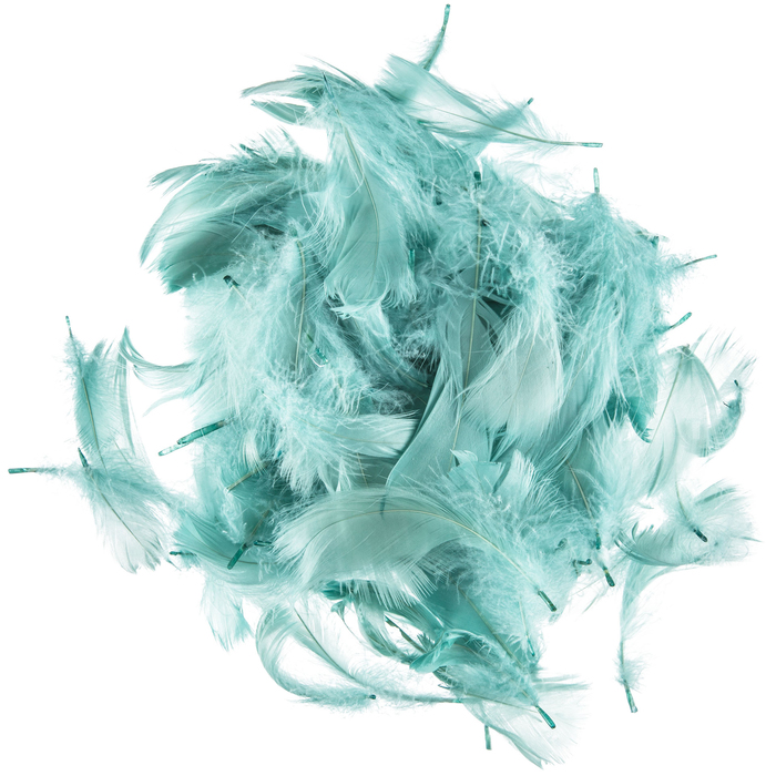 Rain Goose Feathers Hobby Lobby 1086453