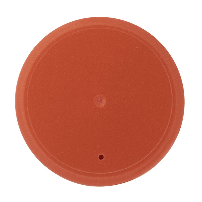 Flaming Orange Testors Extreme Lacquer Spray Paint Hobby Lobby 425546