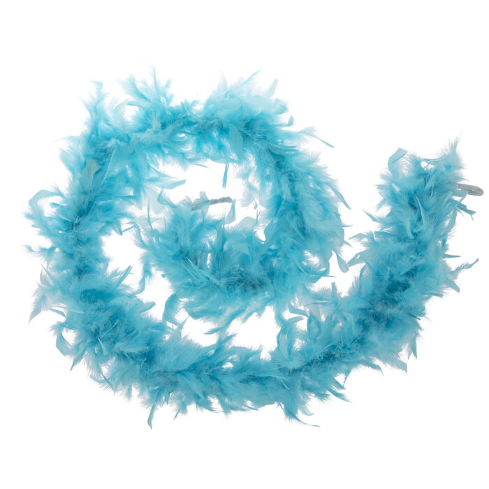 Turquoise Chandelle Feather Boa Hobby Lobby 265025