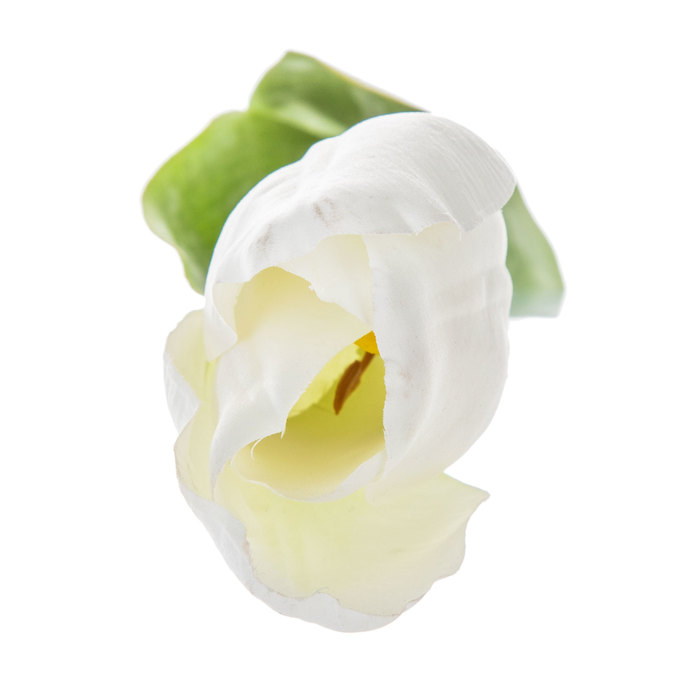 White Garden Tulip Stem Hobby Lobby 587436
