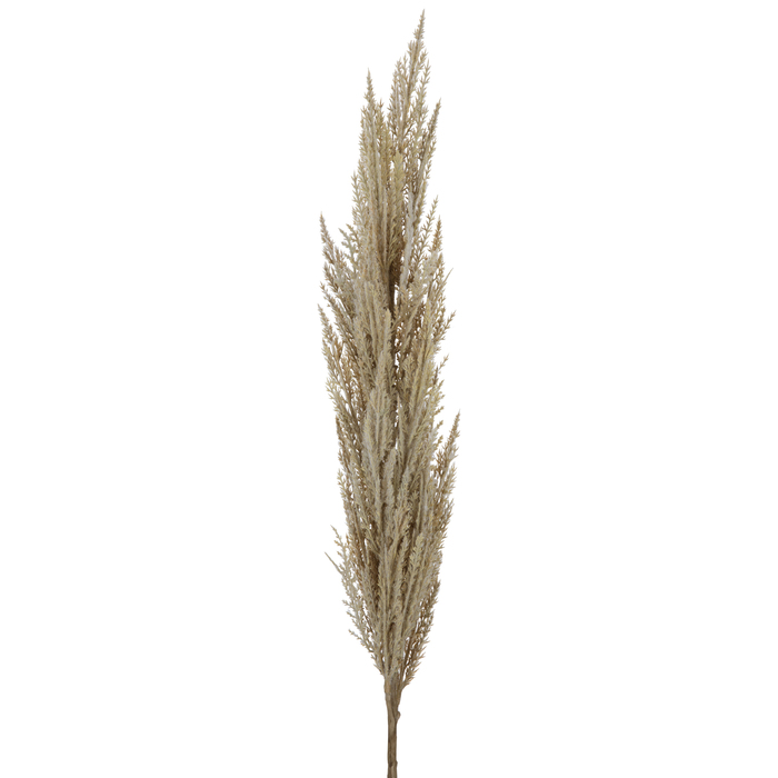 Beige Pampas Grass Stem Hobby Lobby 2016418