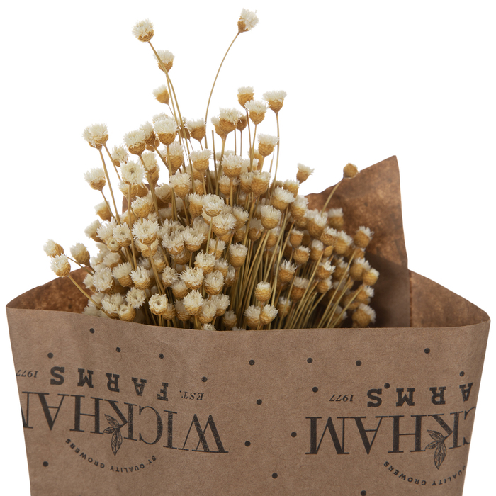 Dried Happy Flower Bundle Hobby Lobby 1927342