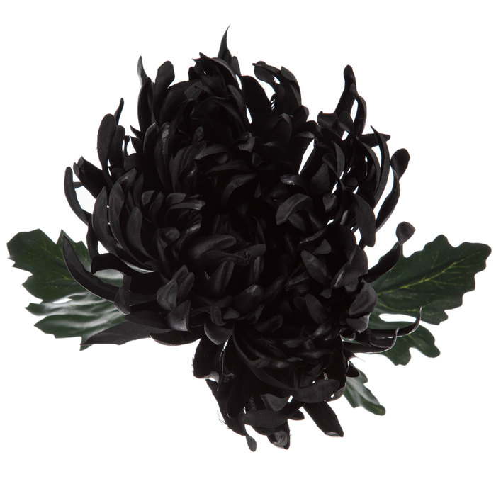 Black Mum Stem Hobby Lobby 1397611