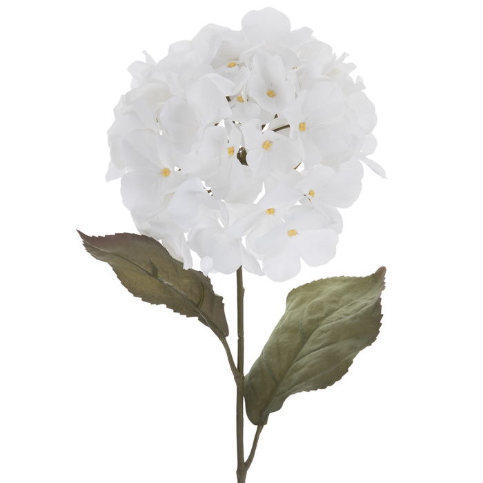 White Hydrangea Stem Hobby Lobby 2016178