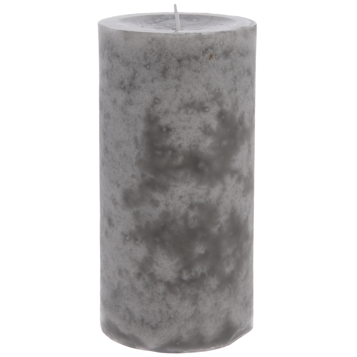 Silver Birch Pillar Candle 3" x 6" Hobby Lobby 1267665
