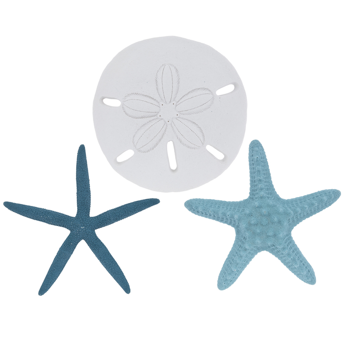 Starfish Sand Dollar Wall Decor Hobby Lobby 1788314 - Starfish Wall Decor Hobby Lobby Starfish Sand Dollar Wall Decor Hobby Lobby 1788314 - Starfish Wall Decor Hobby Lobby