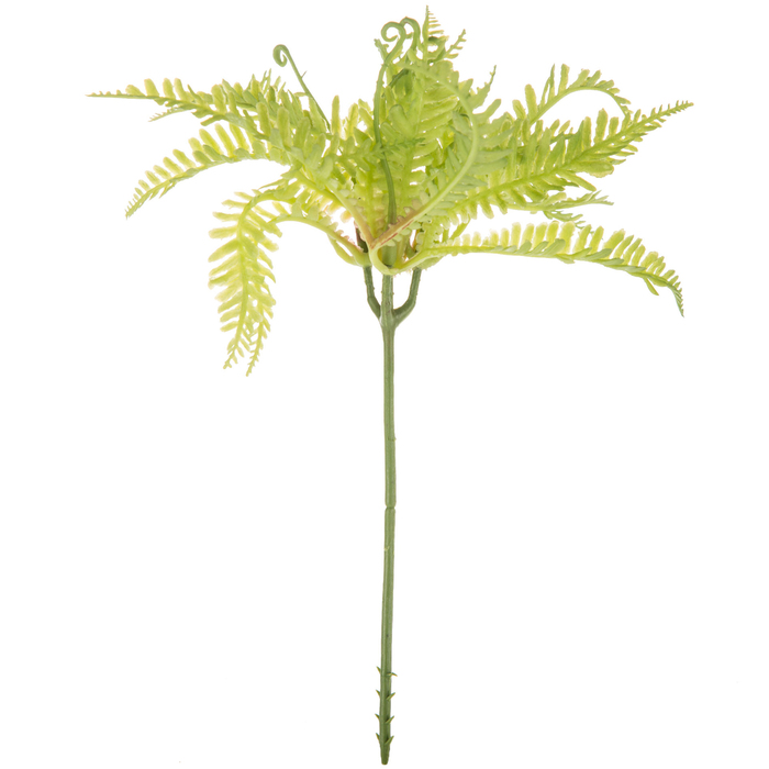 Fern Pick Hobby Lobby 1391713
